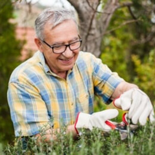 Senior arbeitet im Garten