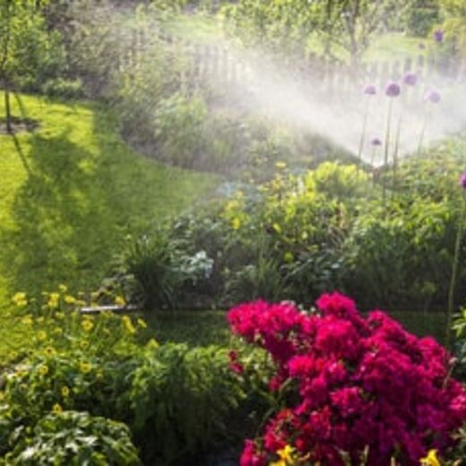 Garten mit Blumen