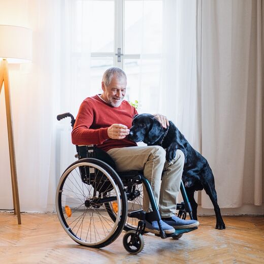 Ihre Situation: Ein Rollstuhlfahrer mit seinem Hund