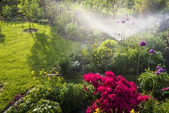 Jardin sans obstacles avec système d'irrigation facile à utiliser 