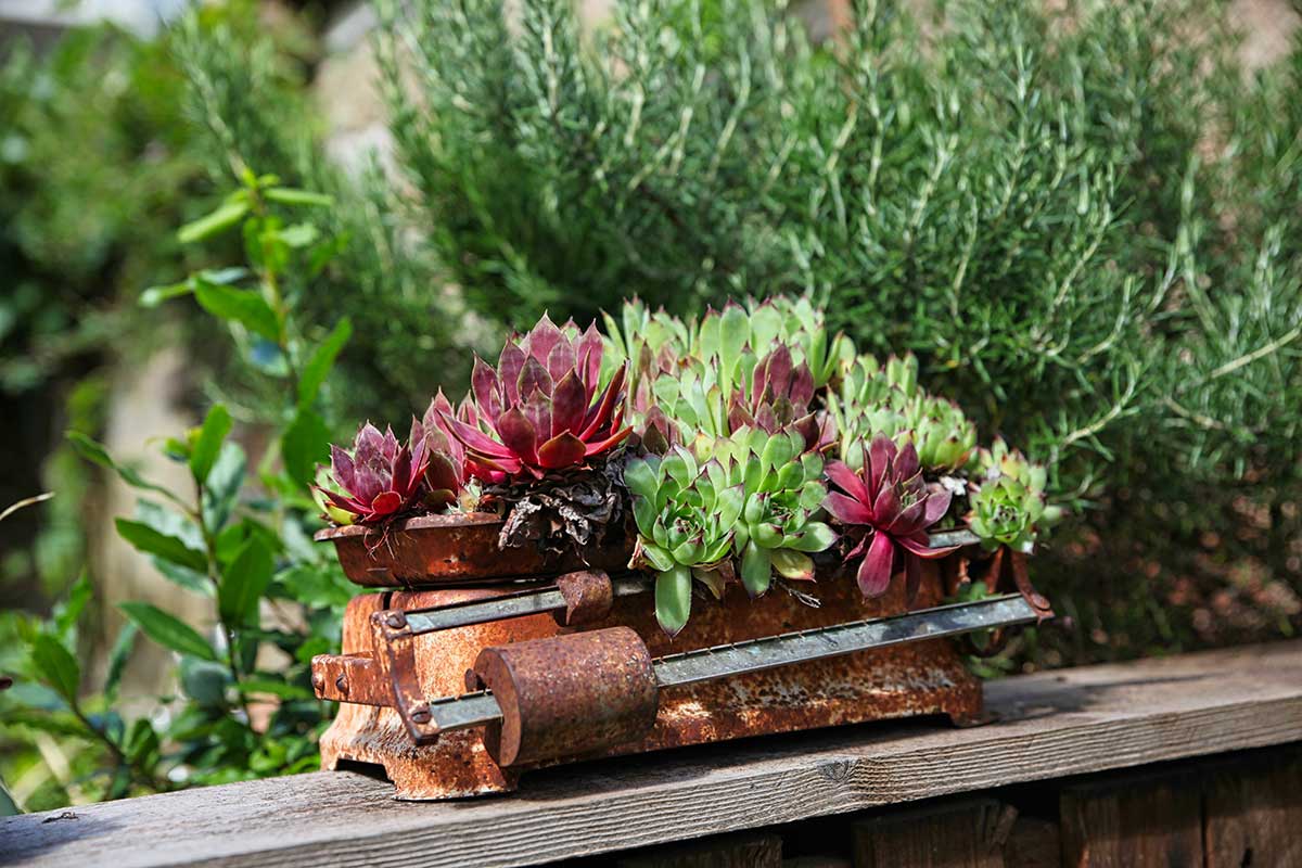 Aide à l'entretien du jardin sans obstacles 