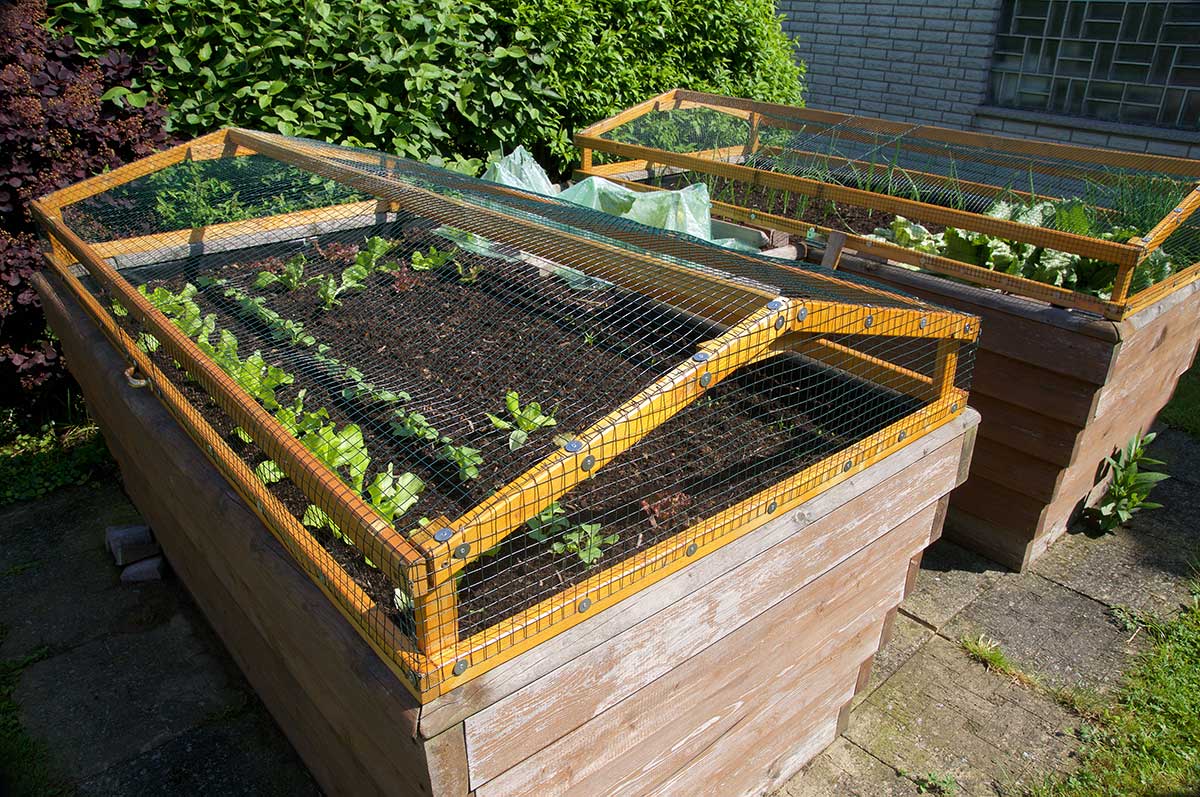 Lit surélevé fonctionnel pour le jardin sans obstacle Lit surélevé pour un jardin sans obstacles par hochbeet-huchler.de